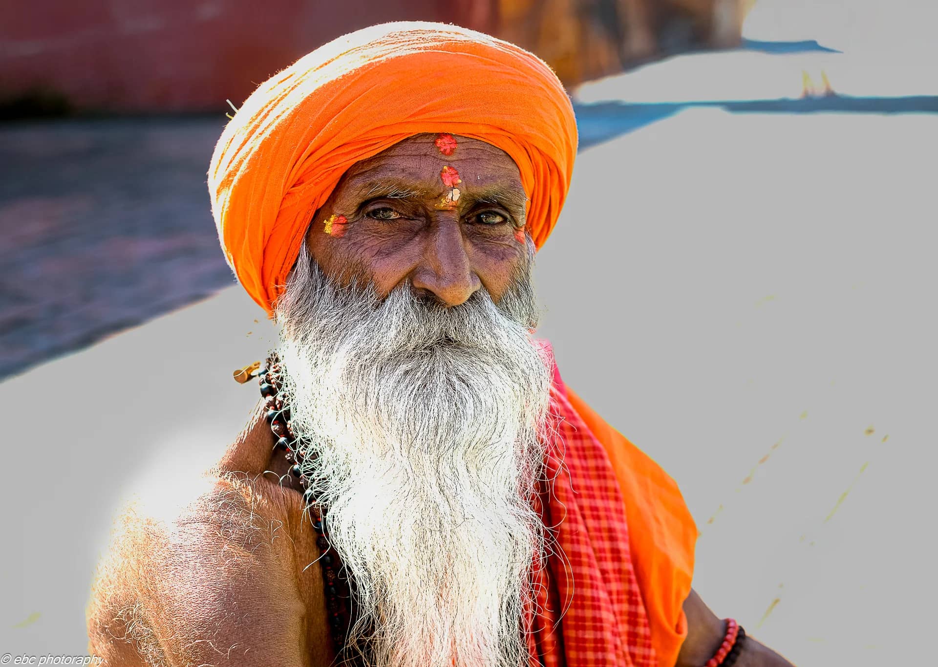 An Ascetic 